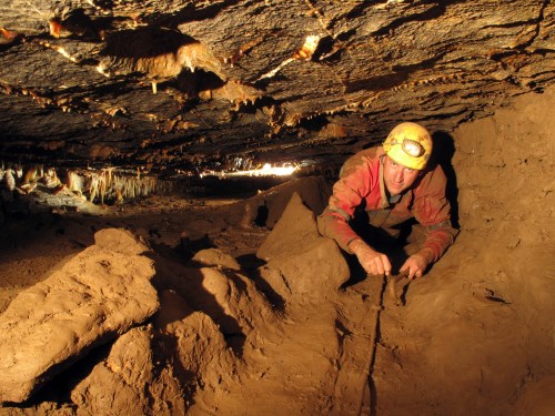 Bog exiting the dig